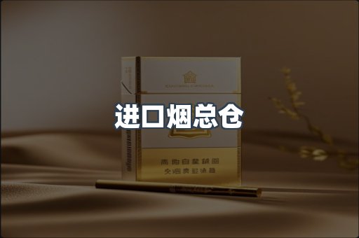 进口烟总仓
